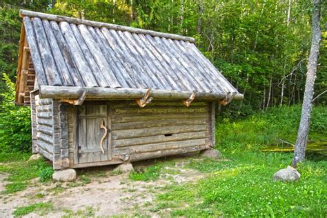 traduire shelter|dog shelter in spanish.